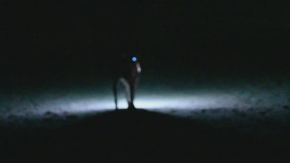 Liberty Lighted Dog Harness